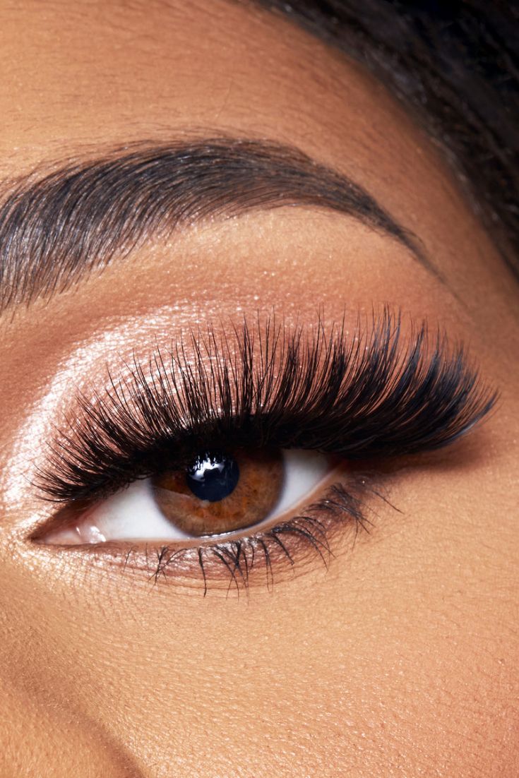 Lash Supplies